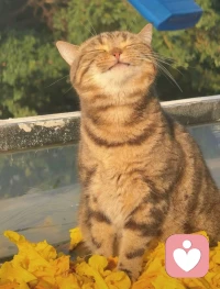 若無法改變現狀，那就享受當下吧。配圖