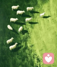 每個人的一生，都在為自己的認知買單。
成年人的世界，只篩選，不教育；只選擇，不改變。配圖