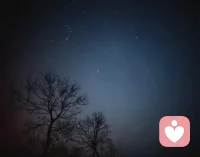 ?夜深人靜時，思緒萬千起，半盞燈火伴，心事與星知。配圖