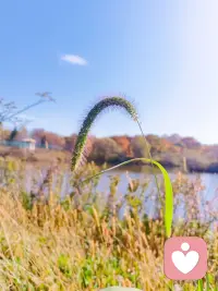 走自己的路，不慌不忙修自己的心，默默發(fā)光。
曲曲折折的路總有它的道理
只希望最后一頁，是花開萬里。配圖