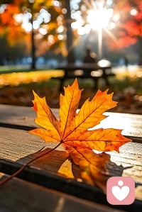 永遠(yuǎn)要有自救的能力，永遠(yuǎn)要有從頭再來的勇氣，人生緩緩，自有答案。配圖