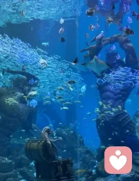 你不會孤單，你永遠不會獨行。配圖