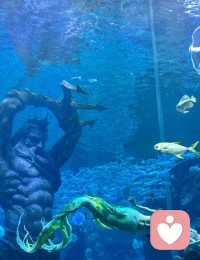 你不會孤單，你永遠不會獨行。配圖