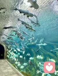 你不會孤單，你永遠不會獨行。配圖