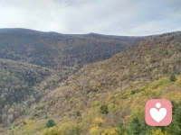 慢下来，才懂风的方向。配图