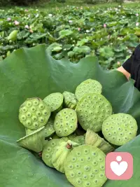春夏秋冬交替不停，时间和我都在往前走。配图