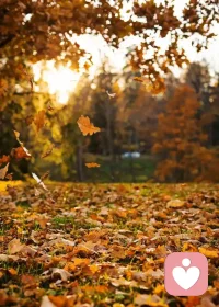 今天的風，像極了生活，推著你向前走，來不及回頭。配圖