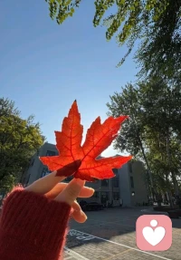 忙能治愈一切矯情...配圖