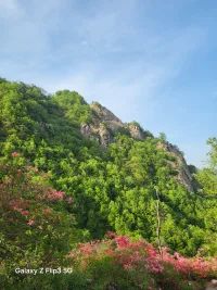 人要懂得退场，当别人不需要你的时候，你要学会收回热情礼貌退场，你要知道一扇不愿意为你打开的门，一直敲是没有礼貌的