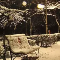 相思化雪落人间，遍地相思卿不见。纵使心中万般念，此生已是再无缘。自古多情人缘浅，满腹心酸无处言。忘却人间三千事，心宽无处不桃源。
