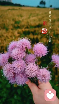你看，世间万物都在治愈你。配图
