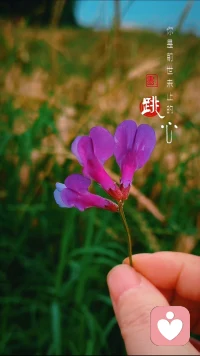 你看，世间万物都在治愈你。配图