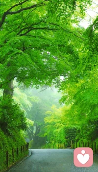 🌿压力山大？5 个身体放松技巧秒速解压

🌬️ 4-7-8 呼吸法 
用鼻吸 4 秒→憋 7 秒→吐 8 秒，心跳立刻踩刹车，焦虑值-50%。

💆 肩颈闪电松
双肩用力耸到耳朵，默数 3 秒，瞬间卸力，像把重担扔进云端，循环 3 次

✋ 掌心敷眼  
双掌搓热 5 秒，轻扣双眼 30 秒，黑暗+温热=大脑快速重启，眼前的小星星都是放松信号。

🦶 脚尖写字  
脱掉鞋，用脚尖在地板写“松”字 10 遍，微电流从脚底传到大脑，压力随笔画散去。

🎧 1 分钟声音浴 
戴上耳机，播放雨声/海浪，音量 30%，闭眼同步深呼吸，给听觉做个 SPA。

⚡整套流程不到 3 分钟，随时随地可用。下次压力爆表时，记得先让身体赢一局！