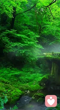 🌿 🌿大自然是最好的疗愈师，走进自然，治愈心灵创伤

🌿 把耳机留在城市，把心跳交给森林。  
周末只需一小时，就能让自然当上心理医生。

🌸 1⃣ 赤脚踩草地  
静电带走焦虑，青草温度≈38℃的拥抱，像给脚底做SPA。

🍃 2⃣ 闭眼听风  
风穿过树叶的“沙沙”声≈α脑波，5 分钟就能让思绪慢半拍。

🌊 3⃣ 闻雨后泥土  
土臭素分子刺激血清素，比咖啡更提神，却零副作用。

🌞 4⃣ 抬头晒太阳  
10 分钟晨光≈10 000 lux，天然抗抑郁灯，免费又环保。

🌱 5⃣ 带走一片落叶  
写上烦恼，夹进书里——叶片变干，情绪也被风干。

🌈 小贴士  
把「去自然」写进 To-do list，就像刷牙一样日常。  
心灵创伤不需要大手术，一片叶子、一缕风就能缝合。