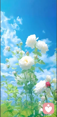 😫总是莫名焦虑？7个治愈小魔法送你🍀

🌙【呼吸4-7-8】  
闭上眼，吸4秒、憋7秒、呼8秒，循环3轮，心跳慢下来，焦虑偷偷溜走。

🌸【焦虑便签】  
把担心写在便签，丢进“焦虑盒”。每天固定10分钟处理，其他时间告诉自己：晚点再想！

🌿【5-4-3-2-1感官漫游】  
找5个颜色、4种触感、3种声音、2种气味、1种味道，让大脑瞬间切换频道。

🌈【3分钟微出汗】  
原地开合跳或快走楼梯，内啡肽一键启动，情绪秒回血。

☕【咖啡因减半】  
下午两点后改喝低因茶，防止心跳加速带来的“假警报”。

🌟【睡前仪式】  
手机飞行模式+热水泡脚+3页纸质书，给大脑一个“关机键”。

🤝【树洞对话】  
把焦虑发给好友或语音备忘，被听见的那一刻，情绪已减半。

焦虑像云朵，飘过去就好。今天，你选哪一招？