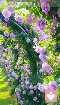 ?? 80% 的問題源于溝通，你的溝通在第幾層？ ??

是否常遇溝通困境：  
想好好交流卻“雞同鴨講”，難達共識甚至引發沖突？  
問題可能是你們不在同一溝通頻道，  
而 **溝通漏斗模型** 能幫你理清。  

–––––––––––––––––  
?? 溝通漏斗 5 層小宇宙 ??  
（從上到下，濾鏡越來越厚）  

① 情緒層（最頂層）??  
　被憤怒/委屈淹沒，事實徹底失真。  
　例： “老板針對我！”  

② 感受層 ??  
　加入“我覺得”“我受傷”，事實再模糊。  
　例： “被公開批評，我感到難堪。”  

③ 想法層 ??  
　給出判斷、建議，濾鏡 +1。  
　例： “如果提前問我，就不會出錯。”  

④ 態度層 ??  
　帶上個人偏好，立場先行。  
　例： “這種細節根本不重要。”  

⑤ 事實層（最底層）??  
　客觀事件，可驗證、無評價。  
　例： “周二報告第 3 頁數據有誤。”  

–––––––––––––––––  
?? 一鍵回歸事實 · 3 步曲 ??  

1?? 覺察：先問自己“現在在第幾層？”  
2?? 過濾：把情緒/感受/想法寫在便簽，先存盤。  
3?? 降落：用“我觀察到…”句式，回到第 ⑤ 層。  

–––––––––––––––––  
?? 場景小劇場 ??  

職場反饋  
? 情緒層： “老板就是想炒我！”  
? 事實層： “老板指出報告數據 2 處錯誤，建議周五前修訂。”  

情侶分歧  
? 感受層： “你根本不在乎我！”  
? 事實層： “昨晚我 20:30 到家，沒收到你消息。”  

–––––––––––––––––  
?? 查理·芒格說 ??  
“掌握思維模型，你會更聰明。”  
把溝通漏斗裝進背包，  
下次僵局，先一起“降層”——  
讓事實做燈塔，共識不再迷路。  

?? 今日小練習  
寫下最近一次沖突的一句話，  
用箭頭把它一路“剝”到事實層，  
看看濾鏡褪下后，問題還剩多少？  

—— 溝通不在聲高，在層對齊。  
　　一起滑到第 ⑤ 層，好好說話，天天晴朗 ??配圖