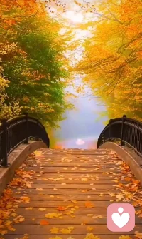 ?? 80% 的問題源于溝通，你的溝通在第幾層？ ??

是否常遇溝通困境：  
想好好交流卻“雞同鴨講”，難達共識甚至引發沖突？  
問題可能是你們不在同一溝通頻道，  
而 **溝通漏斗模型** 能幫你理清。  

–––––––––––––––––  
?? 溝通漏斗 5 層小宇宙 ??  
（從上到下，濾鏡越來越厚）  

① 情緒層（最頂層）??  
　被憤怒/委屈淹沒，事實徹底失真。  
　例： “老板針對我！”  

② 感受層 ??  
　加入“我覺得”“我受傷”，事實再模糊。  
　例： “被公開批評，我感到難堪。”  

③ 想法層 ??  
　給出判斷、建議，濾鏡 +1。  
　例： “如果提前問我，就不會出錯。”  

④ 態度層 ??  
　帶上個人偏好，立場先行。  
　例： “這種細節根本不重要。”  

⑤ 事實層（最底層）??  
　客觀事件，可驗證、無評價。  
　例： “周二報告第 3 頁數據有誤。”  

–––––––––––––––––  
?? 一鍵回歸事實 · 3 步曲 ??  

1?? 覺察：先問自己“現在在第幾層？”  
2?? 過濾：把情緒/感受/想法寫在便簽，先存盤。  
3?? 降落：用“我觀察到…”句式，回到第 ⑤ 層。  

–––––––––––––––––  
?? 場景小劇場 ??  

職場反饋  
? 情緒層： “老板就是想炒我！”  
? 事實層： “老板指出報告數據 2 處錯誤，建議周五前修訂。”  

情侶分歧  
? 感受層： “你根本不在乎我！”  
? 事實層： “昨晚我 20:30 到家，沒收到你消息。”  

–––––––––––––––––  
?? 查理·芒格說 ??  
“掌握思維模型，你會更聰明。”  
把溝通漏斗裝進背包，  
下次僵局，先一起“降層”——  
讓事實做燈塔，共識不再迷路。  

?? 今日小練習  
寫下最近一次沖突的一句話，  
用箭頭把它一路“剝”到事實層，  
看看濾鏡褪下后，問題還剩多少？  

—— 溝通不在聲高，在層對齊。  
　　一起滑到第 ⑤ 層，好好說話，天天晴朗 ??配圖