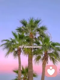 生活不是辯論賽，贏了道理，卻輸了溫暖，太不值得。比起爭論對錯，我更想緊緊抱住你??配圖