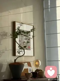 婚姻里很真實的一段話：我和你結婚不是為了嘗盡人間疾苦，是為了體驗幸福，如果總是委屈和妥協，那就算了吧……配圖
