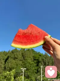 人到了一定的年齡，要懂得把心情和脾氣自行化解，悄無聲息地沉淀自己，當你不再與誰較勁時，你的生活自然變得溫柔可愛起來。生活沒有事事稱心如意，萬事不過半稱心……配圖