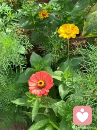 人到了一定的年齡，要懂得把心情和脾氣自行化解，悄無聲息地沉淀自己，當你不再與誰較勁時，你的生活自然變得溫柔可愛起來。生活沒有事事稱心如意，萬事不過半稱心……配圖