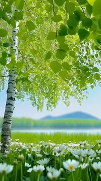 ?你并非不完美，而是獨(dú)特而珍貴的存在，值得被愛(ài)與被關(guān)注?。??配圖