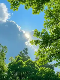 自在而深情地活著，
像一棵樹，一朵花，
日子總是一程一程的。
保持活力，偶爾撤退，
時常歡喜，已是幸福的一生。配圖