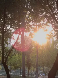 這世界從不虧待努力的人,
你只管善良，其他的交給時間...