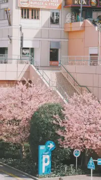 如果一个人对他的那段感情失去了敬畏之心，那么，这段感情也就很难善终了。在亲密关系当中，我们很多时候以为自己很爱很爱对方，却依然失去，这时候，真的需要停下来看看，不着急往前走……