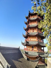 请你务必要一而再，再而三，三而不竭，千次万次，毫不犹豫的救自己于人间水火，只要你足够努力，足够强大，终会撕开命运的阴霾，触摸到属于自己的那束光