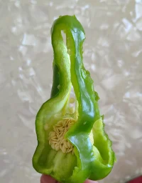 总有办法，不怕不怕了（辣）