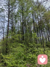 你關注什么就會放大什么配圖