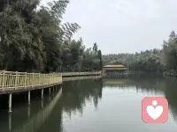 婆媳关系融洽的秘诀：用“客气”代替“挑剔”，用“理解”代替“指责”。把精力放在经营夫妻感情上，不卷入婆媳矛盾中。配图