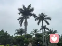 舍得，放下，不执念，万物心中不强留配图