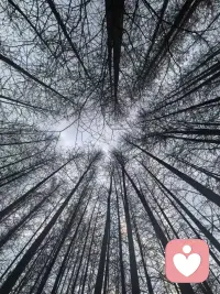 亲子关系没有彻底的决裂，只是暂时的卡顿，先修复，在引导！配图