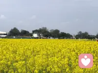 做高级的反击从来不是吼叫，用最温柔的外在形式，传递最有力量的内在信息配图