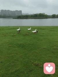 焦虑的时候大脑🧠喜欢预支明天的烦恼，想早一点解决掉，可又何尝知道，如果明天有烦恼，今天是无法解决的！