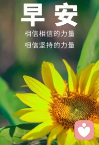 人遇困境时，往往会扩大和夸张不幸，困难刺激会被聚焦，哪怕糟心的事像一片海一样围绕着我们，不妨试着从中舀取一缕暖意，一份力量，学着用积极思考拥抱生活，治愈自己。配图