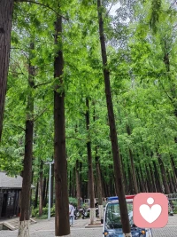母亲长期在孩子面前贬低否定父亲，谈自己婚姻的不幸，对孩子心灵是有伤害的。