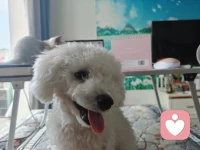 七夕的柔光灑在小天地
毛孩子們的陪伴
是生活柔軟的漣漪
??喵喵??汪汪
愛??就藏在這些點(diǎn)點(diǎn)滴滴里配圖