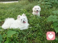 動起來
走出去
笑出來
好情緒三步驟配圖