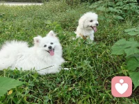 動起來
走出去
笑出來
好情緒三步驟配圖