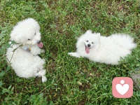 動起來
走出去
笑出來
好情緒三步驟配圖