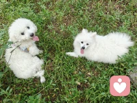 動起來
走出去
笑出來
好情緒三步驟配圖