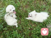 動起來
走出去
笑出來
好情緒三步驟配圖