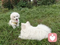 動起來
走出去
笑出來
好情緒三步驟配圖