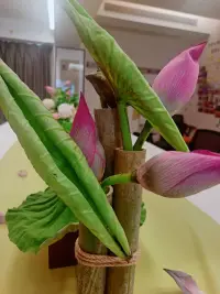 二次來赴荷花沙龍之約

這一次，對“靜”有了新的體會——原來不是強迫自己屏住呼吸，而是讓心在嘈雜里也能找到定盤星；對“凈”多了層理解——不止是環境的清爽，更是把心里的褶皺一點點熨平的過程；對“敬”更添了份敬畏——哪怕是對待一片荷葉的舒展，都藏著該有的鄭重。

同個主題，不同趟旅程，原來成長就藏在這些細微的迭代里呀～配圖