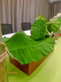二次來赴荷花沙龍之約

這一次，對“靜”有了新的體會——原來不是強迫自己屏住呼吸，而是讓心在嘈雜里也能找到定盤星；對“凈”多了層理解——不止是環境的清爽，更是把心里的褶皺一點點熨平的過程；對“敬”更添了份敬畏——哪怕是對待一片荷葉的舒展，都藏著該有的鄭重。

同個主題，不同趟旅程，原來成長就藏在這些細微的迭代里呀～配圖