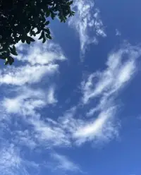 #心理學小知識# 你有沒有過“越想忘越忘不了”的體驗？其實這是“白熊效應”在作祟——越刻意壓抑某個想法，它反而會更頻繁地出現在腦海里。下次再陷入這種內耗時，不如試著轉移注意力：聽首歌、走兩步，給大腦“換個頻道”，反而能讓焦慮悄悄降溫～