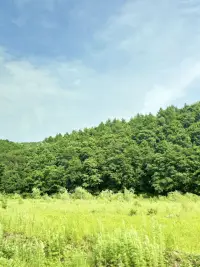 心情就像是路上的風景，有好有壞，但好看的風景畢竟很多。配圖